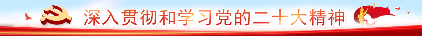 党的二十大精神