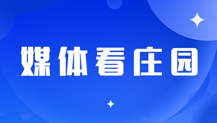 《兰州日报》整版刊登 | 亚美AM8AG牧。喊巡分柿可傅焦亲永
