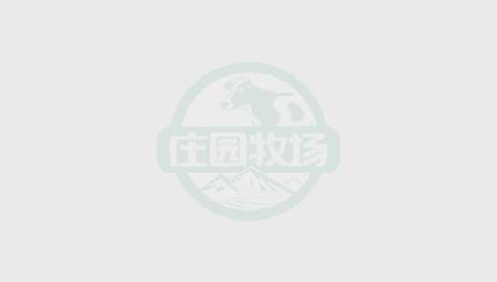 关于亚美AM8AG